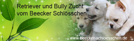 Gästebuch Banner - verlinkt mit http://www.beecker-schloesschen.de